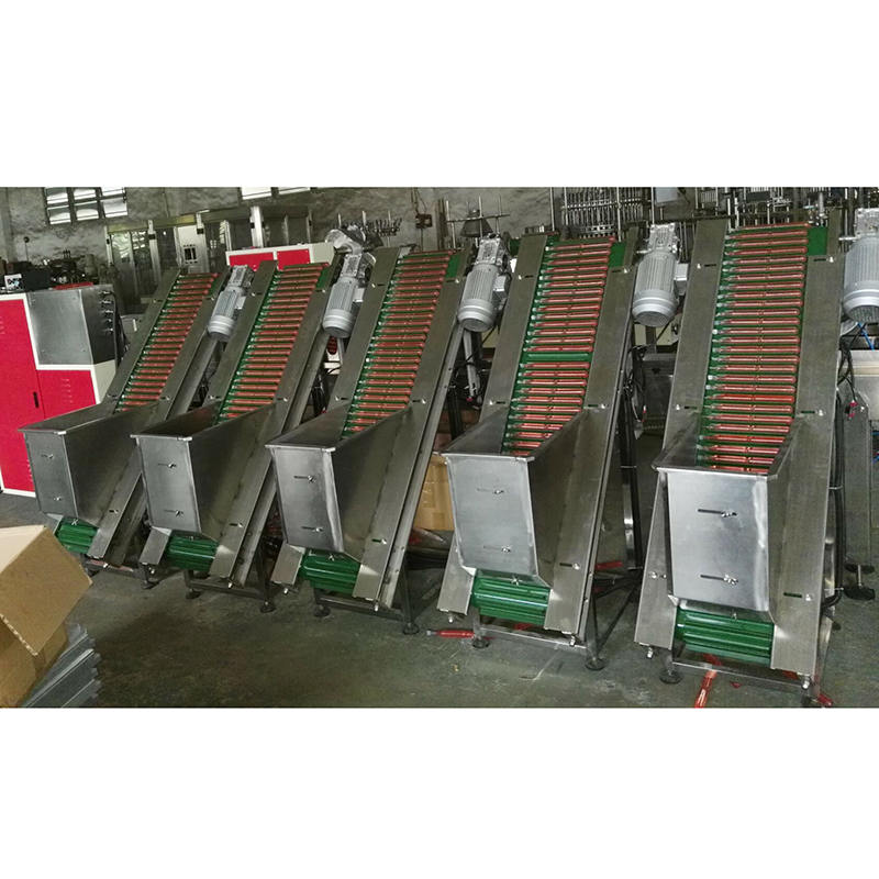 Ten pcs ice lolly packing machine